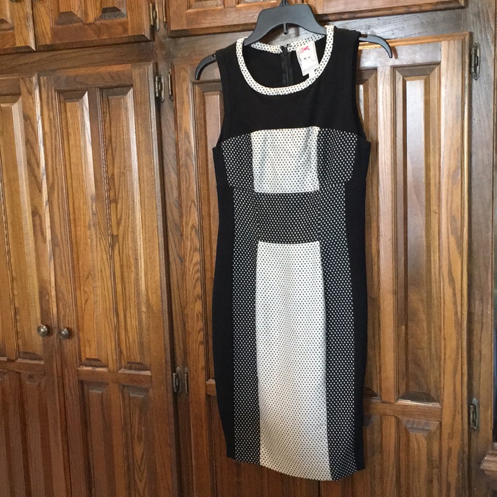 Yoana Baraschi - Anthropologie Dress